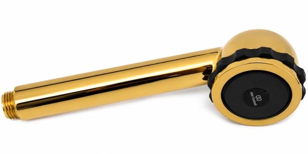 IDEAL STANDARD Trevi Sport Handbrause Gold A2224AB Kopfbrause Handdusche Duschkopf Duschbrause Stabbrause