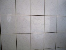 MOSA 1120 Wandfliesen 20x25 cm Beige-Creme marmoriert