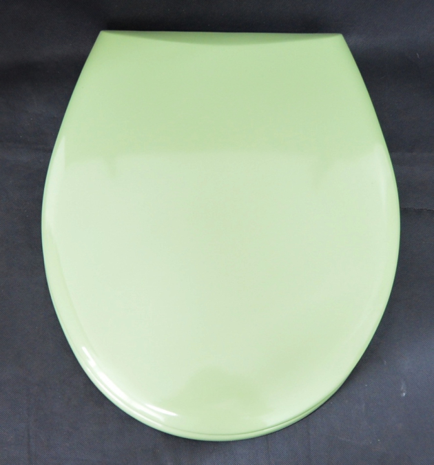 Pagette Primat WC-Sitz Toilettensitz WC-Brille WC-Deckel EVERGREEN