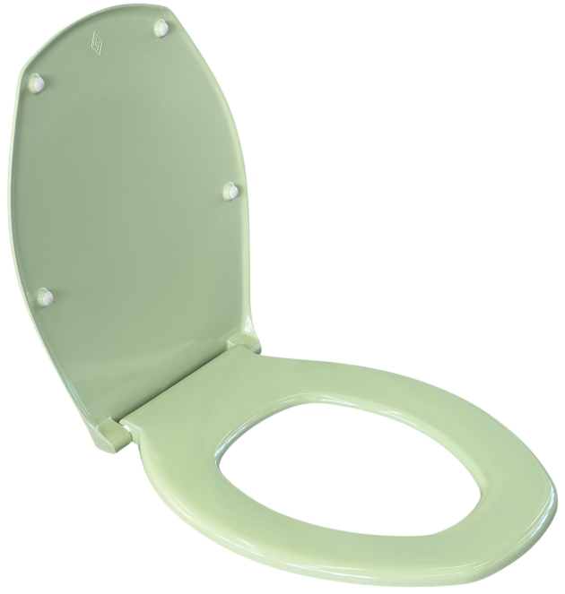 Richter+Frenzel WC-Sitz WHISPER-GRÜN Toilettensitz WC-Deckel Hellgrün Mintgrün R+F Optiset