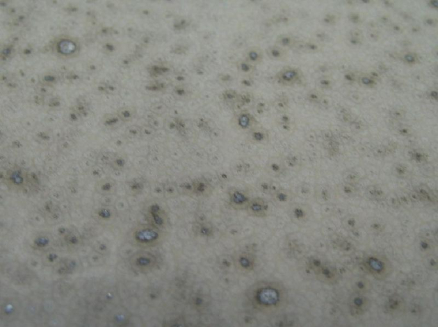 ALAPE kitchen sink 124 Peewit-Grey Cremefarbe Beige mit Sprenkel 92x50,5 cm