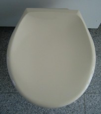 Pagette Avantgarde WC-Sitz WC-Brille WC-Deckel IVORY INDISCH-ELFENBEIN