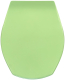 Richter+Frenzel WC-Sitz EVERGREEN WC-Deckel Toilettensitz WC-Deckel WC-Brille R+F Optiset