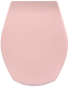 Richter+Frenzel WC-Sitz AZALEE Azalea Azale Rosa Pink Toilettensitz WC-Brille WC-Deckel R+F Optiset