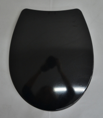 Sanit 1003 WC-Deckel Toilettenbrille WC-Sitz Schwarz Ral 9005