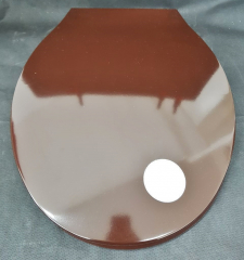 Pagette Exklusiv WC-Sitz Toilettensitz WC-Brille WC-Deckel Alezan
