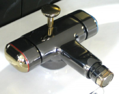 IDEAL STANDARD Dualux Bidet Armatur ARANJA EDELMESSING